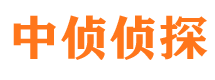 共青城市婚姻调查